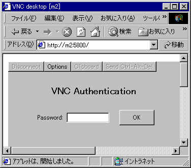 vnc_ie_logon